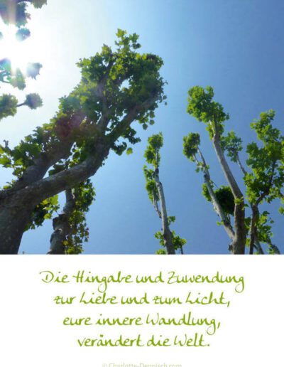 Charlotte Deppisch, Weisheiten und Naturfotos: Die Hingabe und Zuwendung zur Liebe und zum Licht, eure innere Wandlung, verändert die Welt.