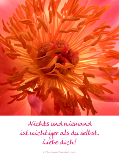 Charlotte Deppisch, Weisheiten und Naturfotos: Nichts und niemand ist wichtiger als du selbst. Liebe dich!