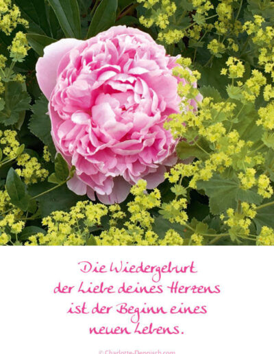 Charlotte Deppisch, Weisheiten und Naturfotos: Die Wiedergeburt der Liebe deines Herzens ist der Beginn eines neuen Lebens.