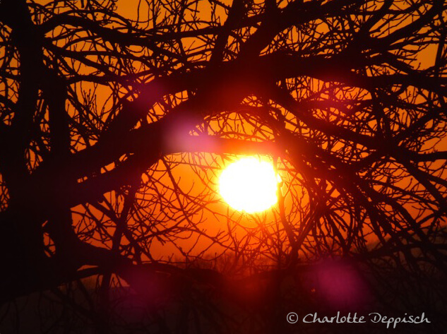 Naturfoto-Seelengedicht-Geboren-Sonnenuntergang-CharlotteDeppisch