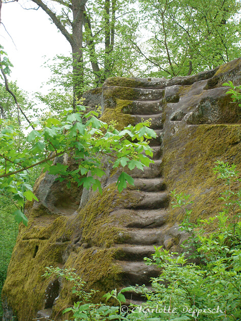 Naturfoto-Seelengedicht-Geboren-Steintreppe-im-wald-CharlotteDeppisch