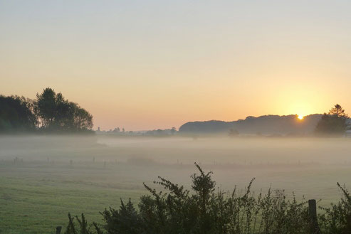 Weisheit Nebelfelder lichten, sanfter Nebel schwebt über einer grünen Wiese hinter der die Sonne aufgeht