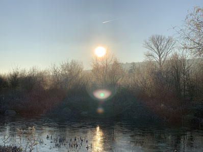 Weisheit Bereitschaft, Sonnenlichtreflexion über einem von Gebüsch umgebenen Fluss